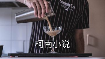 柯南小說(shuō)