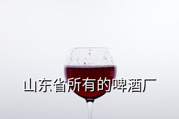 山東省所有的啤酒廠(chǎng)