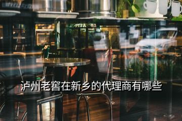 瀘州老窖在新鄉(xiāng)的代理商有哪些