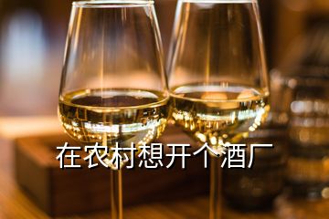 在農(nóng)村想開(kāi)個(gè)酒廠