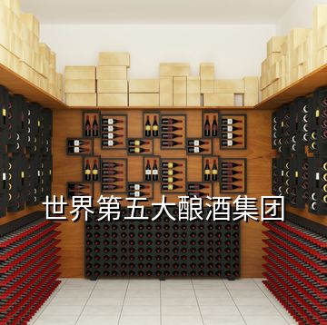 世界第五大釀酒集團(tuán)