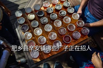 肥鄉(xiāng)縣辛安鎮(zhèn)哪些廠(chǎng)子正在招人