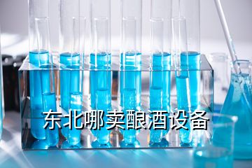 東北哪賣釀酒設(shè)備