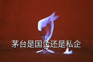 茅臺(tái)是國企還是私企