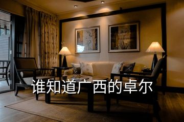 誰(shuí)知道廣西的卓爾