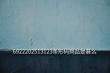 6922202513123條形碼商品是甚么
