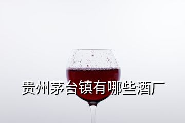 貴州茅臺(tái)鎮(zhèn)有哪些酒廠