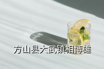 方山縣大武鎮(zhèn)相博雄