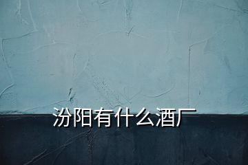汾陽(yáng)有什么酒廠