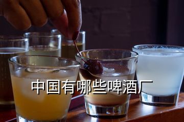 中國有哪些啤酒廠