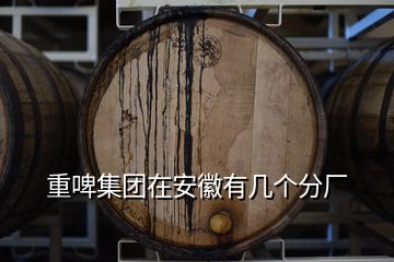 重啤集團在安徽有幾個分廠