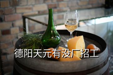 德陽(yáng)天元有沒廠招工