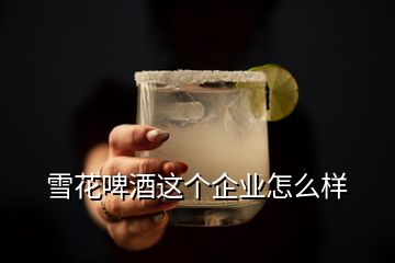 雪花啤酒這個(gè)企業(yè)怎么樣