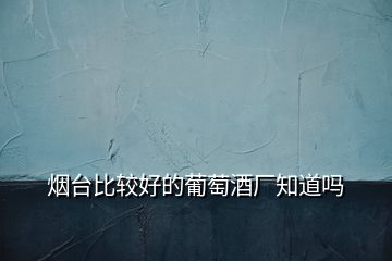 煙臺比較好的葡萄酒廠知道嗎