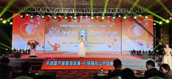 論壇：中國(guó)葡萄酒產(chǎn)區(qū)崛起需要哪些重要力量？