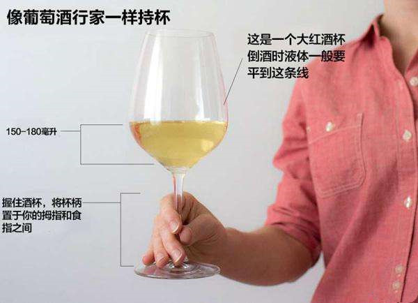 正確的端紅酒杯是怎樣的？為什么要搖晃酒杯呢？