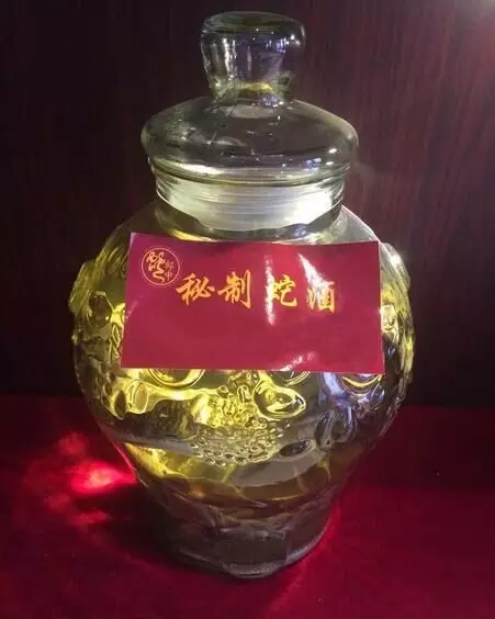 三蛇酒多少錢一瓶，龍山三蛇酒價(jià)格表