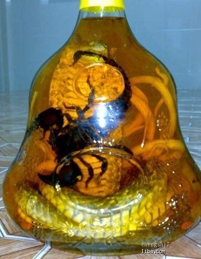 蝎子酒有什么功效，蝎子酒喝了會(huì)中毒嗎