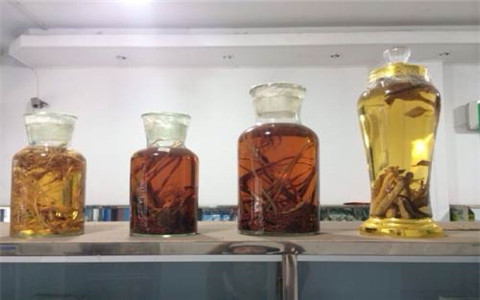 祛寒養(yǎng)生一般用什么藥酒好？這幾種藥酒值得信賴