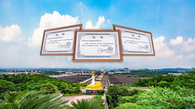 愛爾蘭第十一屆歐洲論壇，五糧液以1638.12億元的品牌價值位列榜單第三位