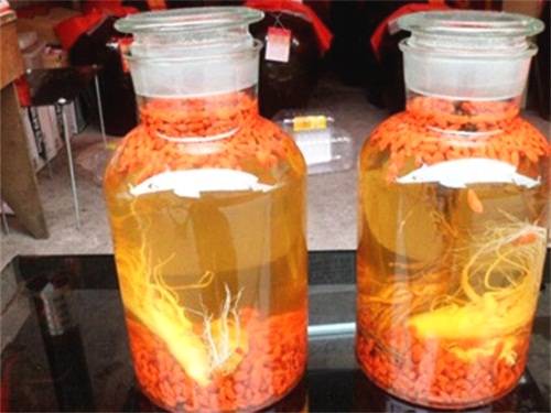人參、靈芝泡酒配方大全！藥酒功效大全