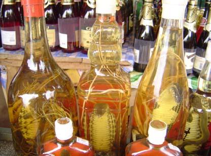 老年人適合喝什么藥酒？喝藥酒的好處
