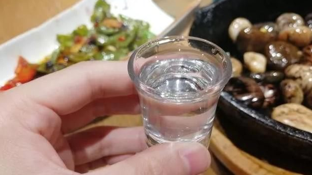 酒桌上酒司令和知客是指什么？