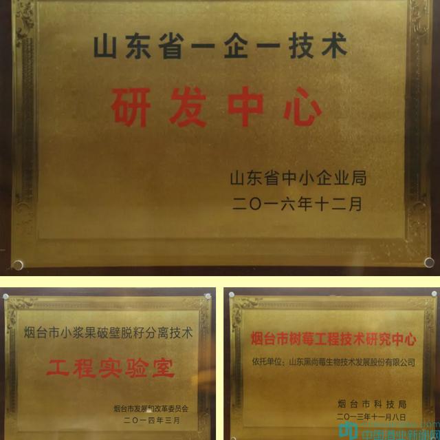2019年黑尚莓穩(wěn)中求進(jìn)，年底再獲大獎(jiǎng)