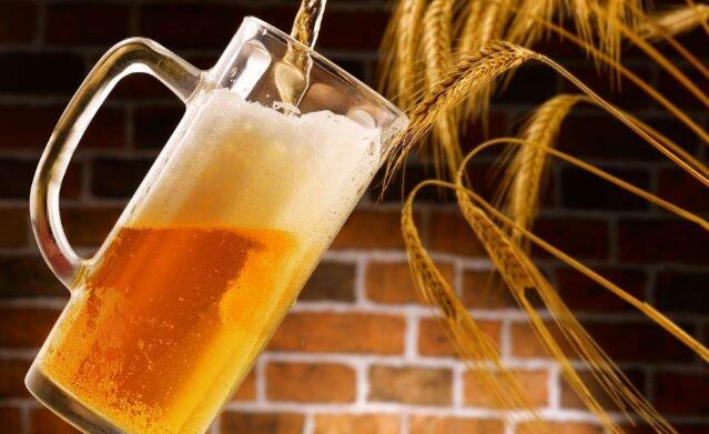 啤酒洗頭能不能天天洗？不能