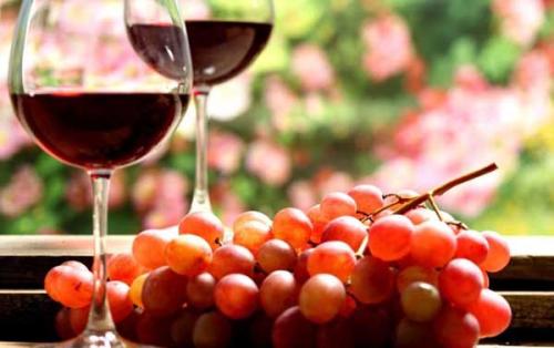 紅酒是什么材料釀的？釀紅酒的葡萄品種有哪些？