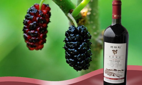 桑葚能反復(fù)泡酒嗎？桑葚酒泡幾遍比較好？