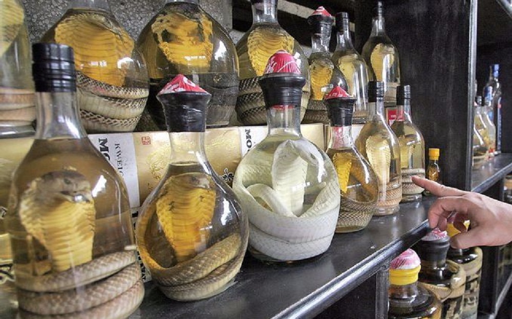 毒蛇泡酒多久才能喝？毒蛇泡酒多久才會死？