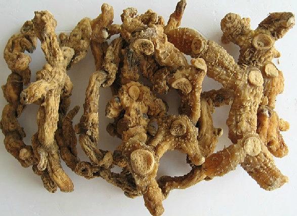 黃精可以泡酒嗎？黃精的泡酒方法