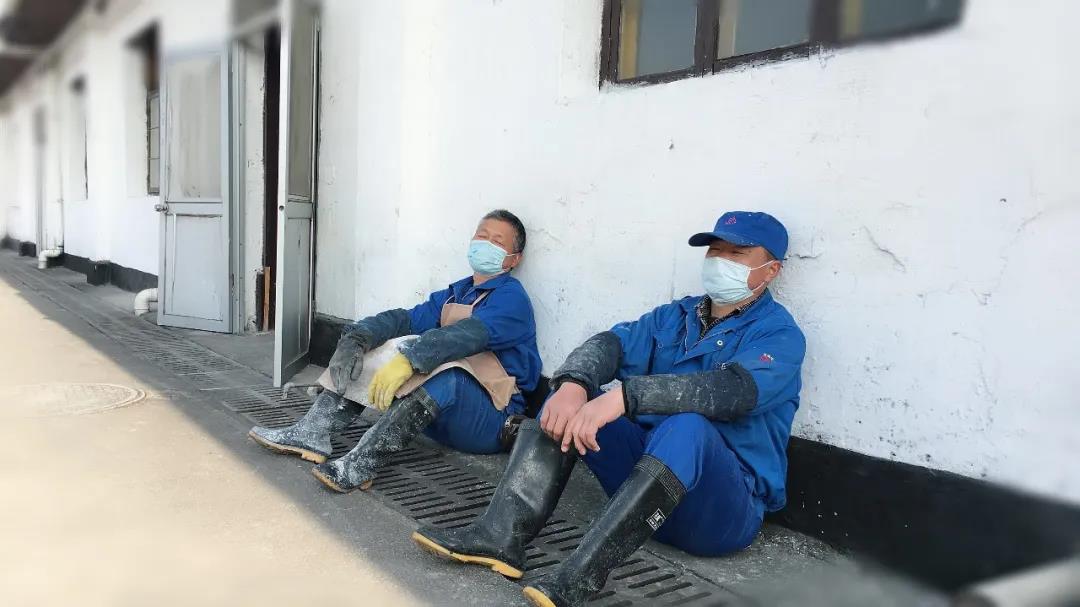 黃酒集團(tuán)釀酒師每天在車間里走2萬多步，急得午休時間都想??！