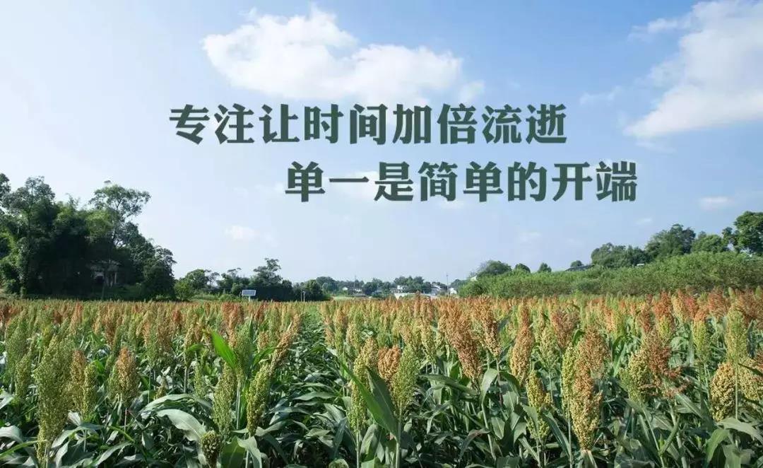 江小白的誠實“告白”，講透當前酒企的“難言之隱”