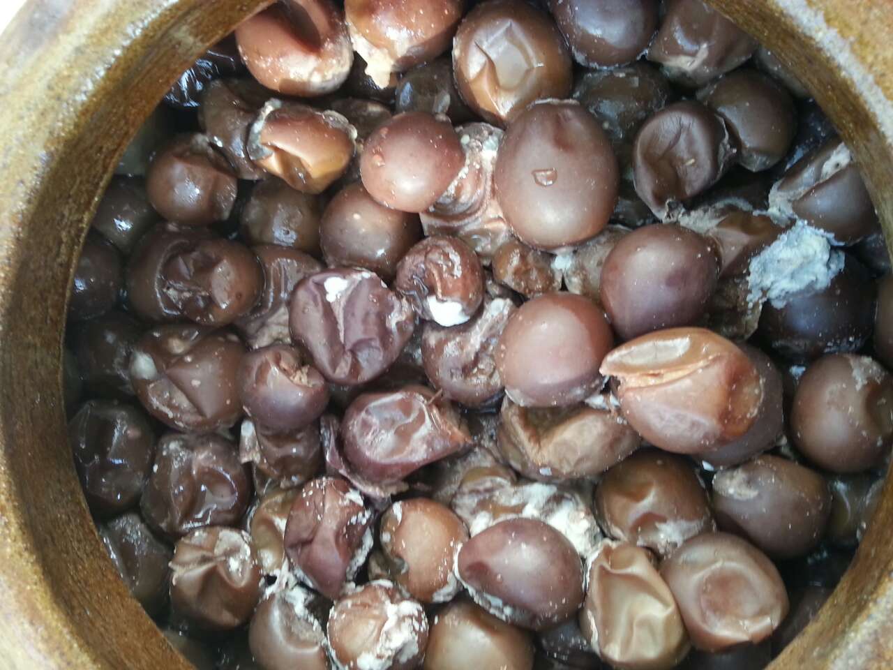 自釀葡萄酒長毛能喝嗎