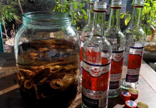為什么要用高度酒泡藥酒？低度酒可以泡藥酒嗎？