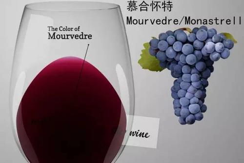 慕合懷特葡萄酒怎么樣？慕合懷特葡萄酒酒精度比較高。