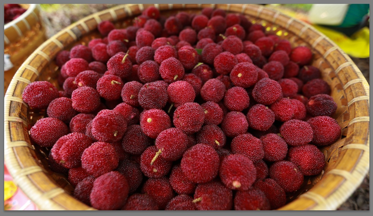 楊梅酒可以放紅糖嗎？楊梅酒有什么品質(zhì)要求