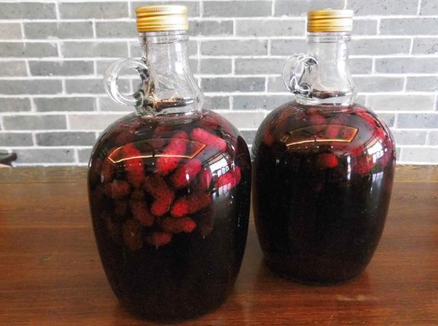 桑葚泡酒用什么酒最好，桑葚泡酒幾天能喝