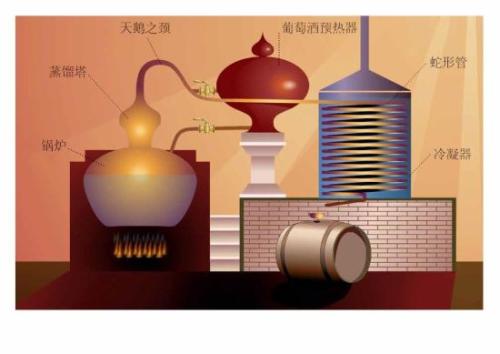 干邑是如何釀造的？釀造干邑的葡萄是哪種？