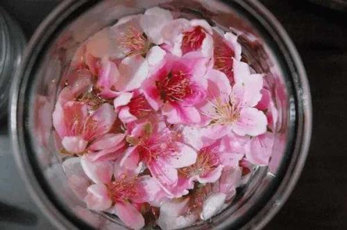 干桃花可以泡酒嗎？干桃花泡酒有什么好處