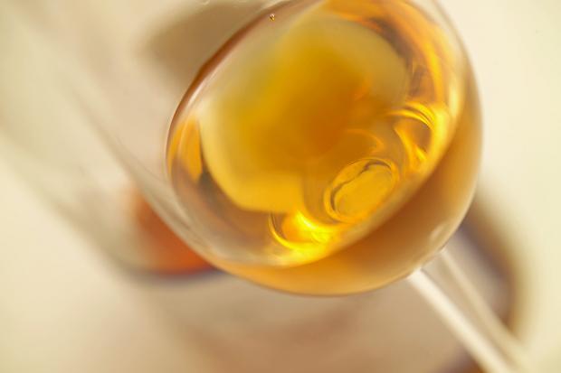 貴腐酒是用什么葡萄釀制的？釀制貴腐酒采用的葡萄品種