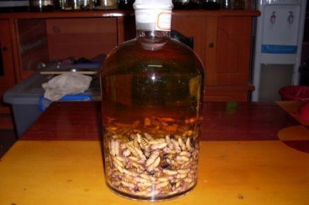 蜂蛹泡酒的方法，功效有哪些