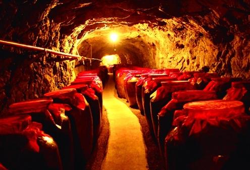 如何自建酒窖？自建酒窖造價(jià)一般是多少？