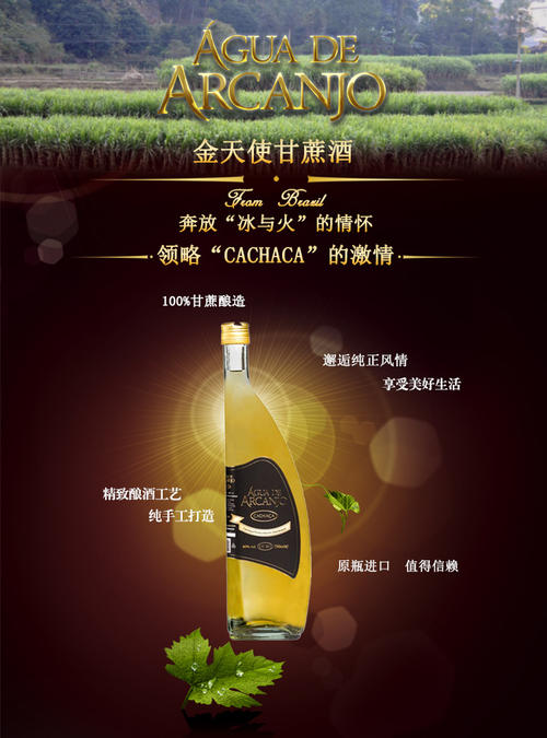甘蔗酒怎么釀？甘蔗酒的釀制方法