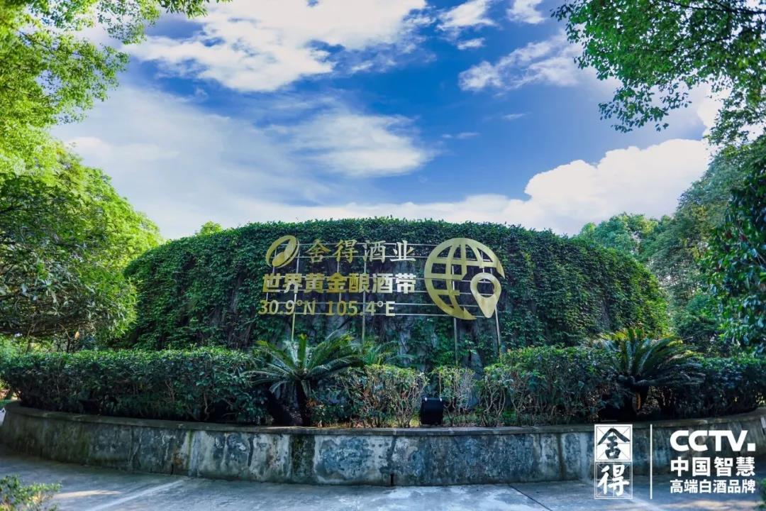 要成就更好的舍得，為什么一定是老酒？