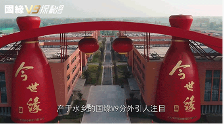 今世緣做了一款什么酒？