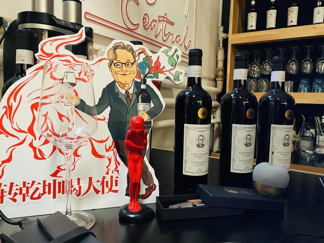 天鵝莊·大使震撼升級，劍指旺季高端市場！