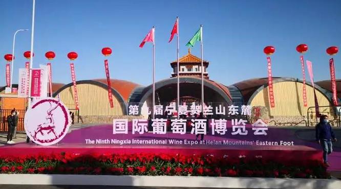 威龍有機葡萄酒˙瑪瑟蘭C18獲寧夏賀蘭山東麓國際葡萄酒博覽會金獎